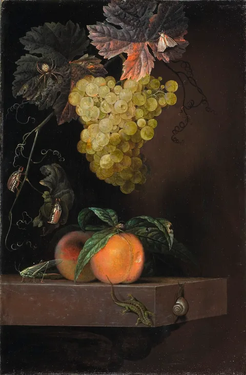 Ottmar Elliger, Still Life with Fruit, Lizard and Insects