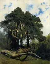 Arseny Meshchersky, Landscape
