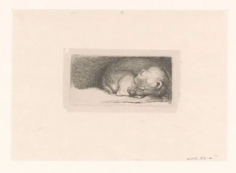 Jacob Folkema, Sleaping puppy