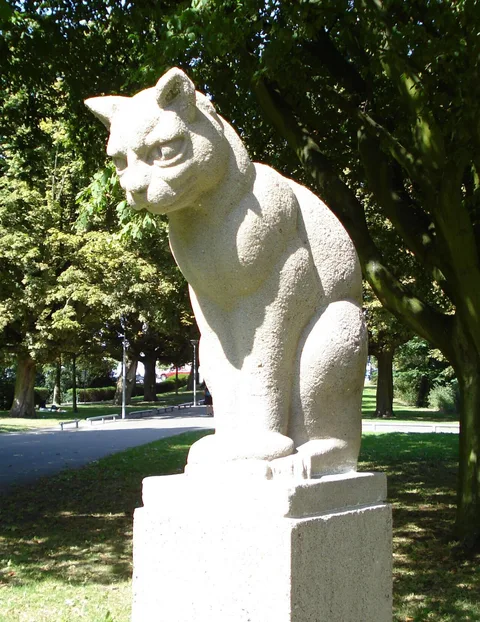 Gra Rueb, Cat