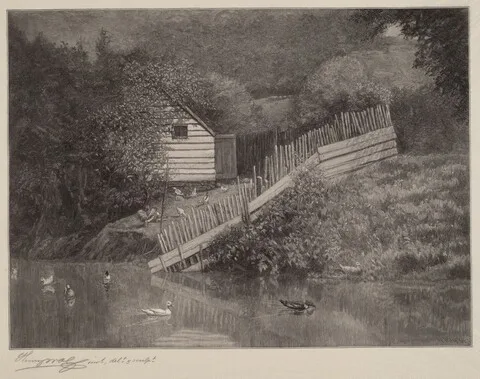 Henry Wolf, A Duck Pond