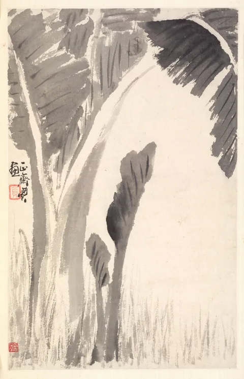 Min Zhen, Banana Plants
