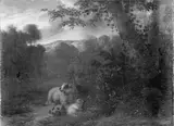 Jan Vermeer van Haarlem, Landscape with Sheep