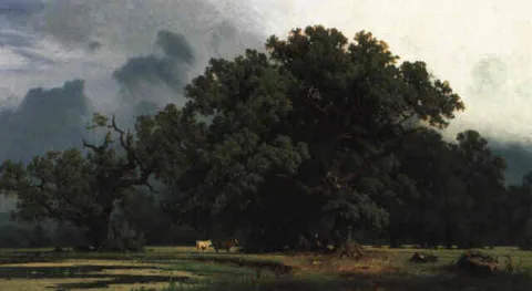 Hugo Knorr, Untitled