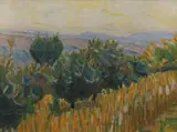 Niels Larsen Stevns, The Vine against the Light. A wheat field in the foreground. Villa Linda, Florence