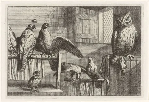 Francis Barlow, Titelblad Diversae Avium Species