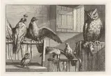 Francis Barlow, Titelblad Diversae Avium Species