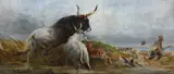 Charles H. Poingdestre, Alarmed: Cattle Chasing a Wild-Fowler