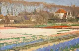 Ferdinand Hart Nibbrig, Bollenvelden