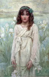 Norman Prescott Davies, Irises