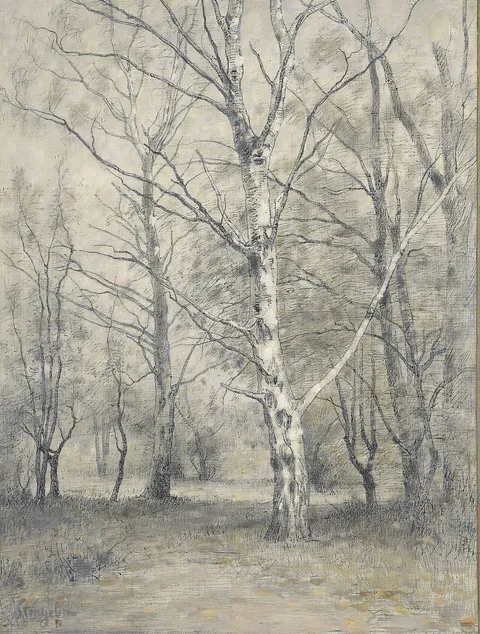 Alphonse Stengelin, Bos met berkebomen