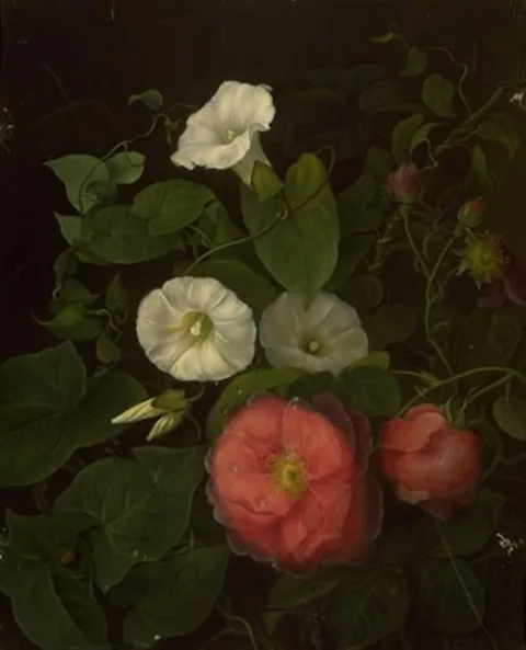 Emma Thomsen, Roser og epomenea