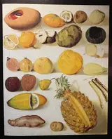 Hermenegildo Bustos, Still Life with Pineapple
