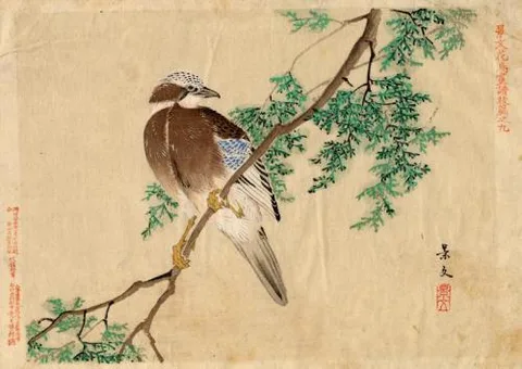 Keibun, Bird on Branch by unknown artist - Matsumura Keibun