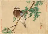 Keibun, Bird on Branch by unknown artist - Matsumura Keibun