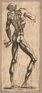 Juste de Juste, Man Turning His Head to the Left