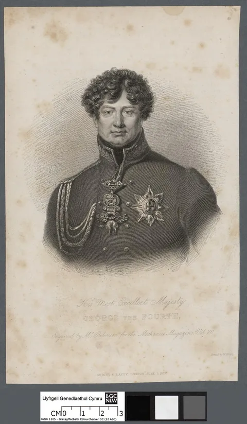 John Henry Robinson, His most excellent majesty George the fourth