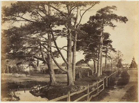 Benjamin Brecknell Turner, Scotch Firs, Hawkhurst