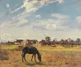 Algernon Talmage, Mobile Veterinary Unit in France