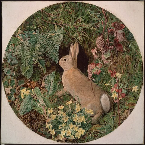 William James Webbe, Rabbit amid Ferns and Flowering Plants