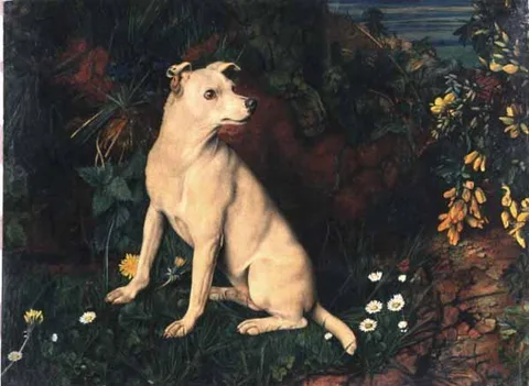 William James Webbe, A White Terrier by a Mossy Bank with Flowers