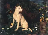 William James Webbe, A White Terrier by a Mossy Bank with Flowers