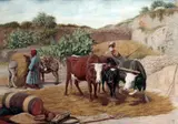 William James Webbe, Treading Corn