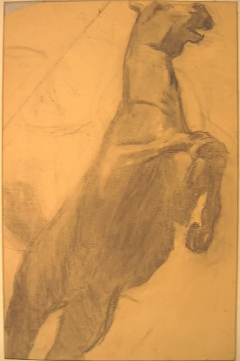 Henry Luyten, Sketch of a Horse