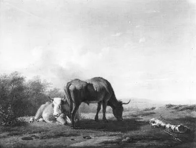 Jan Kobell II, Untitled