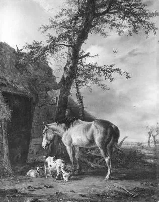 Jan Kobell II, Untitled