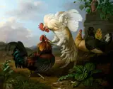 Henry Voordecker, Cocks Fighting