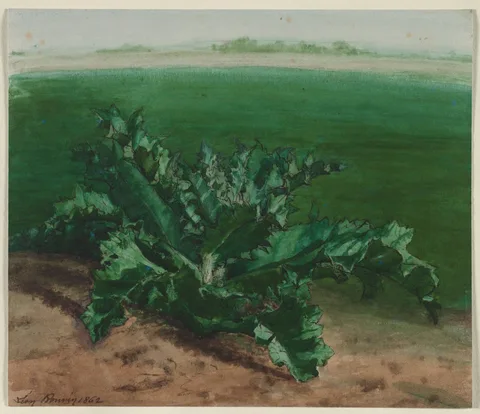 Léon Bonvin, Study of a Plant, Possibly Thistle
