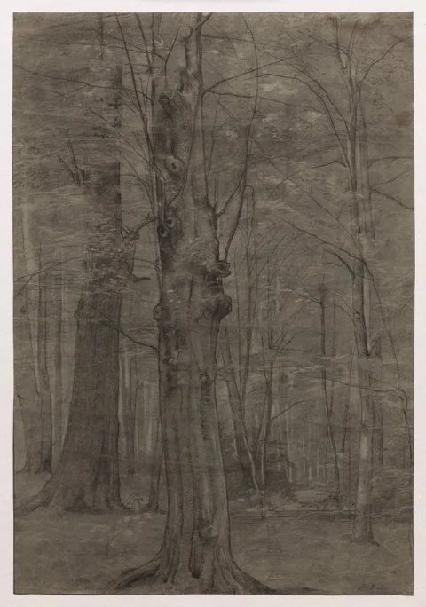 Leopold Bode, Trees