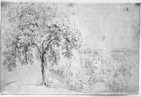Karl Altmann, Landskap