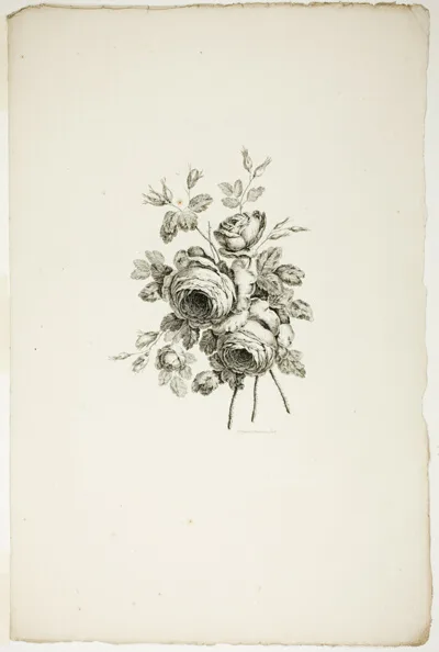 Pierre-Charles Canot, Bouquet with Roses, from Recueil de differents bouquets de fleurs