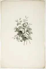 Pierre-Charles Canot, Bouquet with Roses, from Recueil de differents bouquets de fleurs