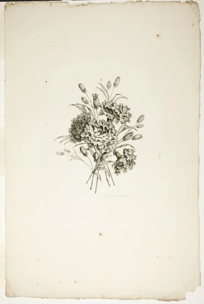 Pierre-Charles Canot, Bouquet with Carnations, from Recueil de differents bouquets de fleurs