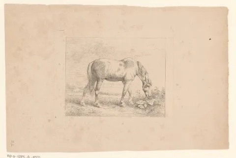 Charles Tschaggeny, Grazend bont paard