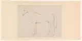 Charles Tschaggeny, Staand paard