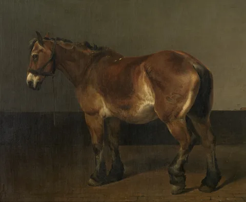 Charles Tschaggeny, Untitled