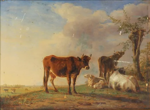 Jean Baptiste Berré, Cows and sheep
