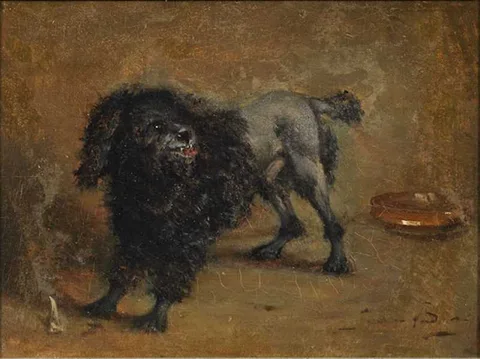 Jean Baptiste Berré, Poodle