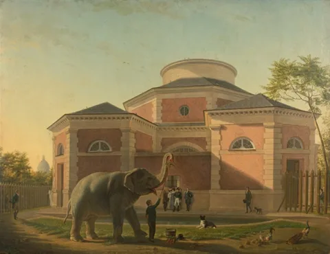Jean Baptiste Berré, The elephant of the Royal Garden