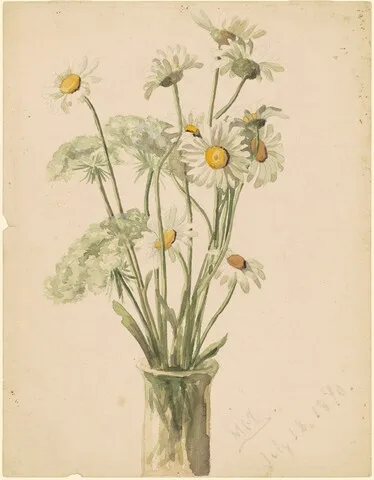 Marietta Minnigerode Andrews, Daisies and Queen Ann's Lace