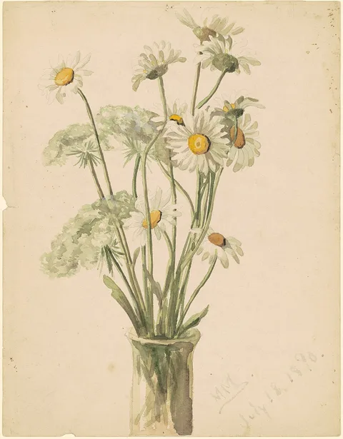 Marietta Minnigerode Andrews, Daisies and Queen Ann's Lace