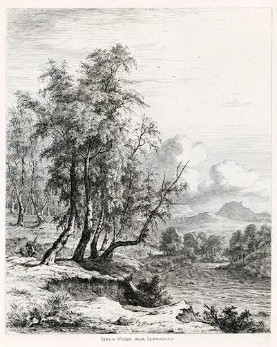 Jacob George Strutt, Birch Woods near Llangollen