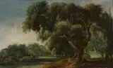 Jacob van Geel, Imaginary Wooded Landscape