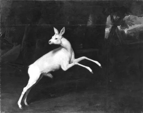 Jan van Nickelen, The white roebuck