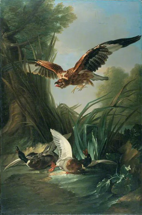 Jacques Charles Oudry, Hawk Attacking Wild Duck