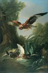 Jacques Charles Oudry, Hawk Attacking Wild Duck
